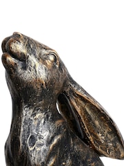 Libra Interiors ہیری اسٹار گیزنگ ہیر - تصویر 3 از 7