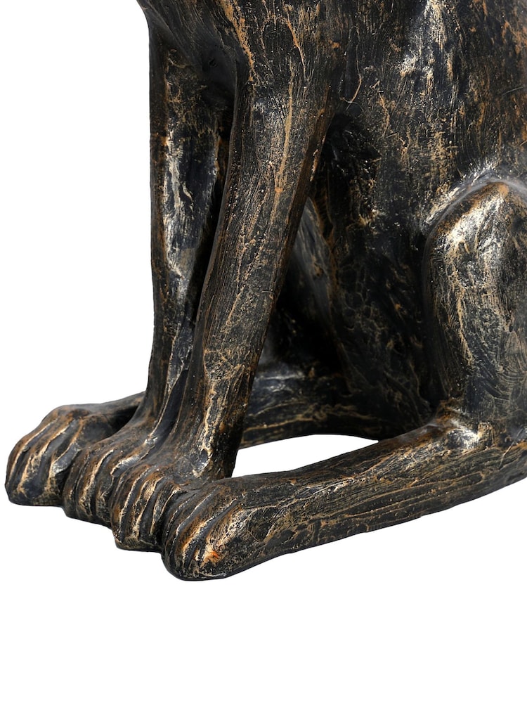 Libra Interiors ہیری اسٹار گیزنگ ہیر - تصویر 7 از 7 Libra Interiors ہیری اسٹار گیزنگ ہیر - تصویر 7 از 7