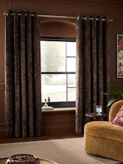 Chocolate Brown Blackout/Thermal Plush Chenille Eyelet Curtains - Image 1 of 6