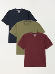 FatFace 3 Pack Navy/Burgundy/Green Short Sleeve T-Shirt - Image 6 of 7
