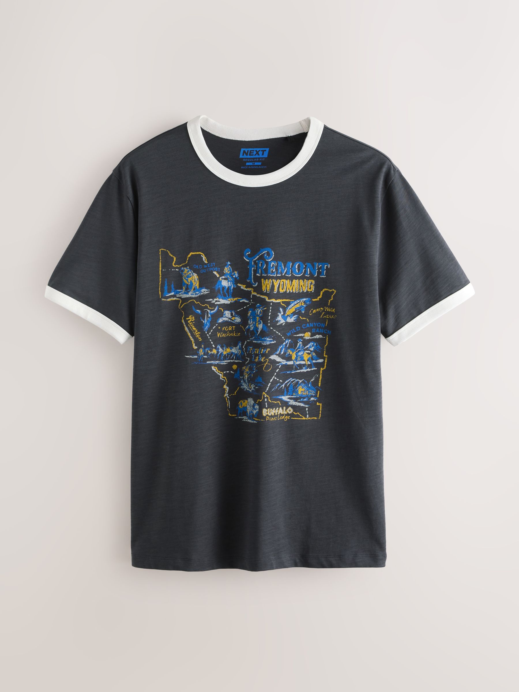 Buy Black Regular Fit Graphic Ringer T-Shirt from Next USA