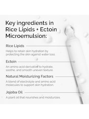 The Ordinary Rice Lipids + Ectoin Microemulsion 60ml - Image 5 of 9