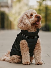 Чорний - Padded Pet Coat with Harness - Image 1 of 3