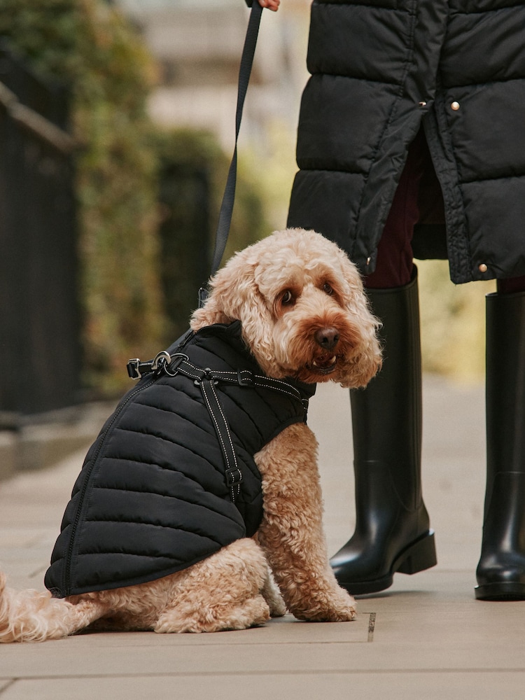 Чорний - Padded Pet Coat with Harness - Image 2 of 3 Чорний - Padded Pet Coat with Harness - Image 2 of 3