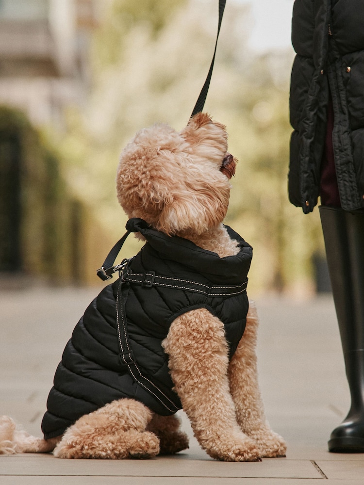 Чорний - Padded Pet Coat with Harness - Image 3 of 3 Чорний - Padded Pet Coat with Harness - Image 3 of 3