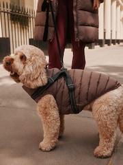 Chocolate Brown Padded Pet Harness Coat - Image 1 of 2