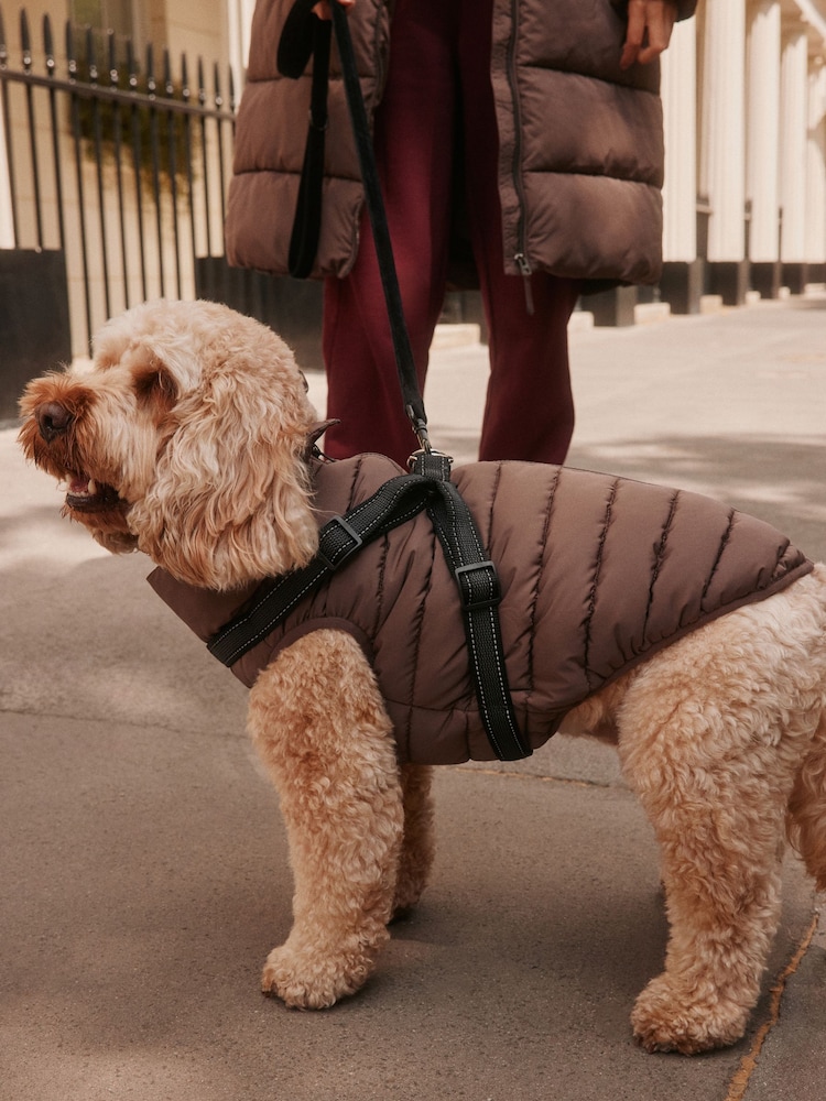Chocolate Brown Padded Pet Harness Coat - Image 1 of 2