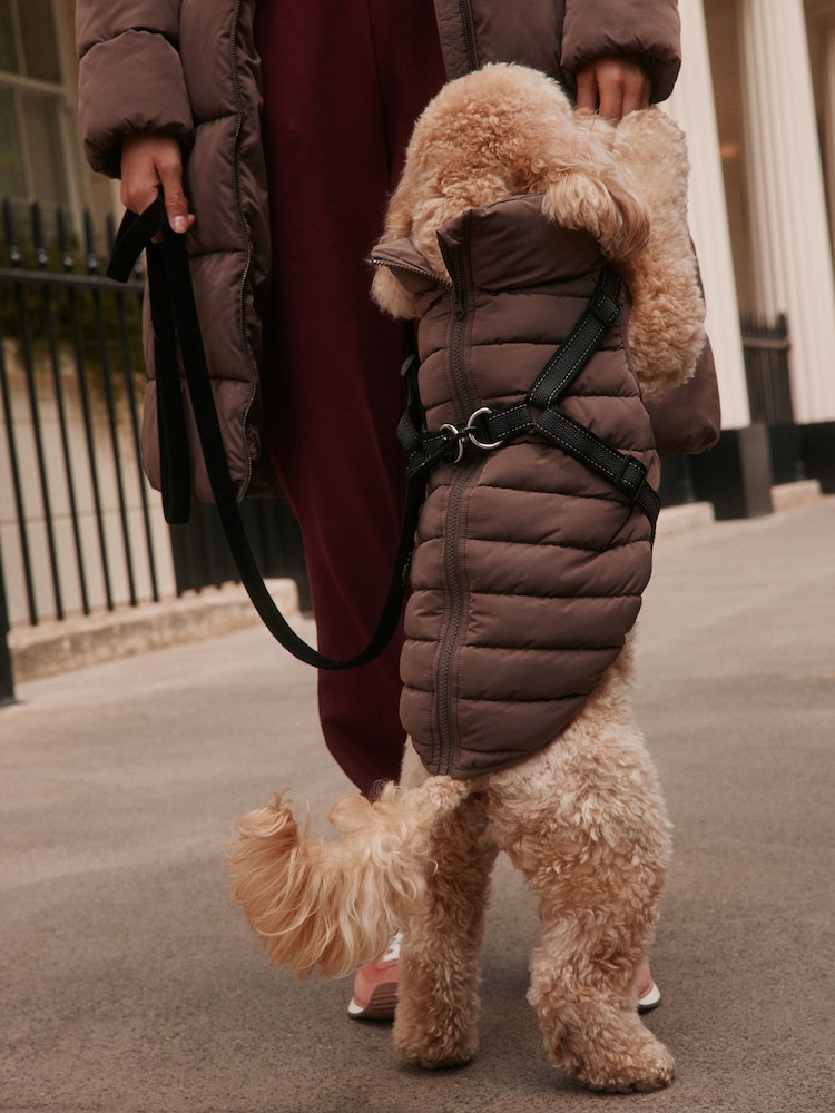 Chocolate Brown Padded Pet Harness Coat - Image 2 of 2