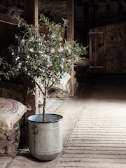 Lights4fun Brown 200 LED Outdoor On Clear Cable Battery Fairy Light - Image 2 of 4