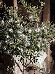 Lights4fun Brown 200 LED Outdoor On Clear Cable Battery Fairy Light - Image 3 of 4