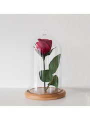 Lights4fun Clear Regular Glass Dome Bell Jar 20cm - Image 3 of 4