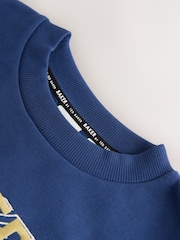 Baker by Ted Baker Blue Baker by Ted Baker Oversized Sweatshirt and Wide Leg Joggers Set - Image 12 of 14