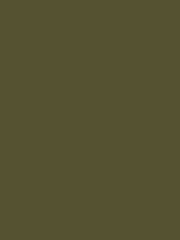 Laura Ashley Olive Matt Emulsion Paint 5Ltr - Image 4 of 4