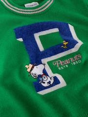 Green Peanuts Snoopy License Long Sleeve Crew Neck Knitted Jumper With Wool - Image 7 of 7