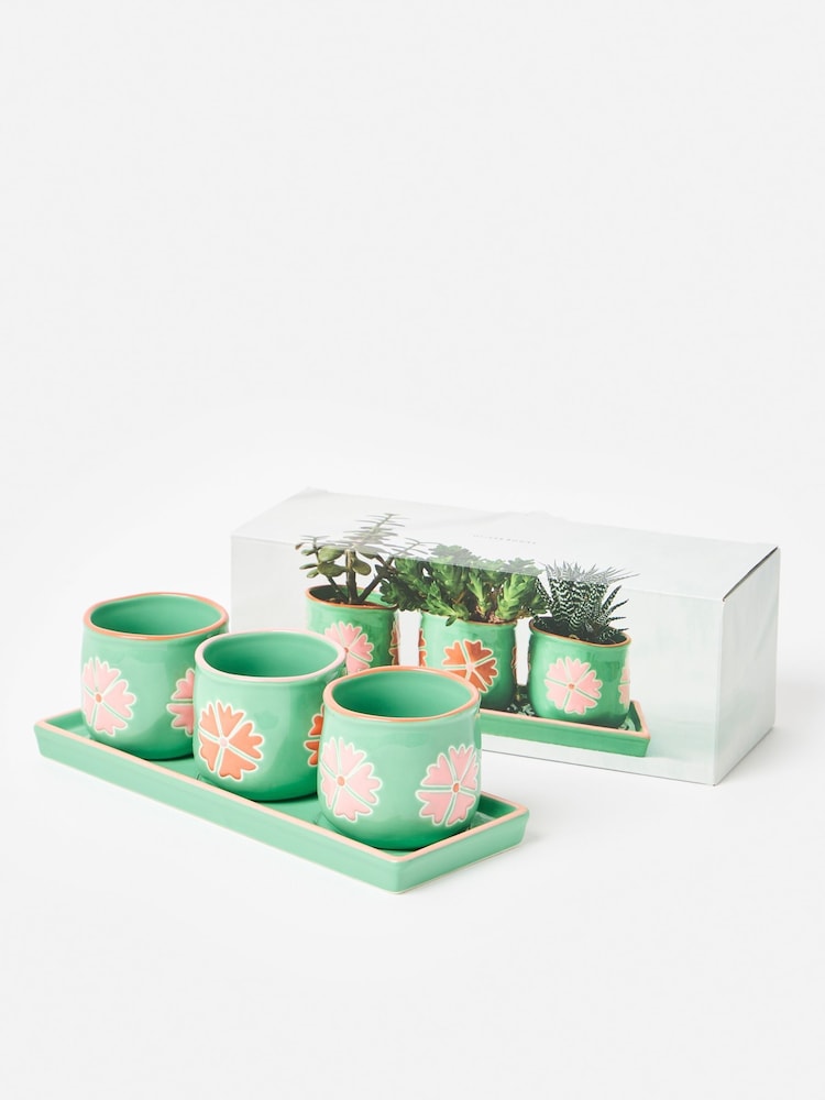 Oliver Bonas Set of 3 Green Flor Mini Plant Pots - Image 2 of 6 Oliver Bonas Set of 3 Green Flor Mini Plant Pots - Image 2 of 6