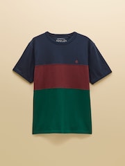 Verde y azul marino - Camiseta de algodón con cuello redondo Rugby Club de Joules - Imagen 6 de 6