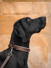 Lords and Labradors Brown Cream Italian Leather Collar Dog Collar - Image 1 of 5