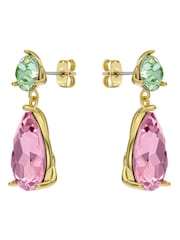 Ted Baker Gold Tone TEAIRE Crystal Teardrop Earrings - Image 3 of 4