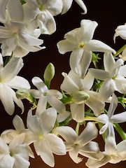 Dolce&Gabbana The One Eau De Parfum Intense 30ml - Image 5 of 6