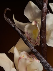 Dolce&Gabbana The One Eau De Parfum Intense 30ml - Image 6 of 6