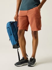 Regatta Brown Shorebay Shorts - Image 1 of 8