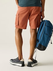 Regatta Brown Shorebay Shorts - Image 2 of 8