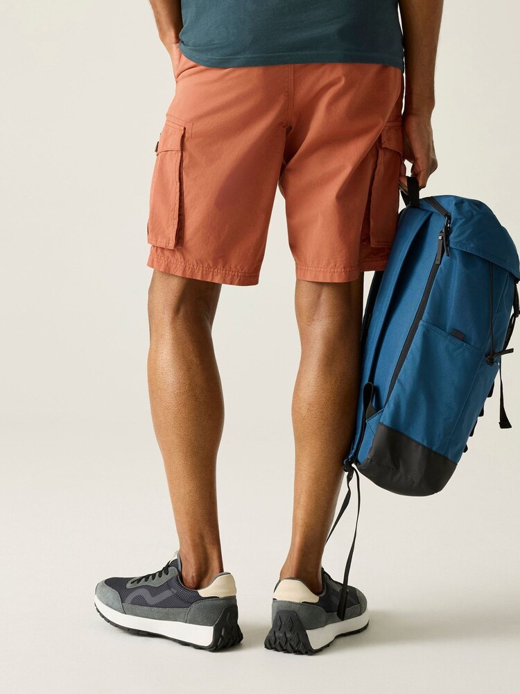 Regatta Brown Shorebay Shorts - Image 2 of 8