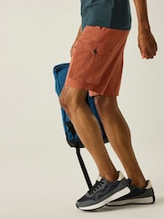 Regatta Brown Shorebay Shorts - Image 3 of 8