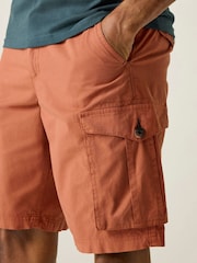 Regatta Brown Shorebay Shorts - Image 5 of 8