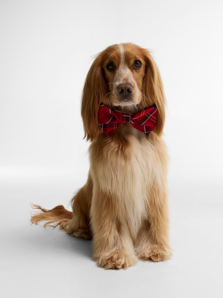 Barbour® Red Tartan Dog Bow Tie - Image 1 of 3 Barbour® Red Tartan Dog Bow Tie - Image 1 of 3