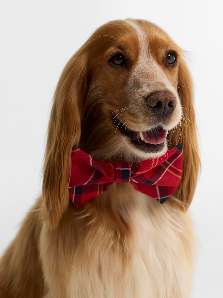 Barbour® Red Tartan Dog Bow Tie - Image 2 of 3 Barbour® Red Tartan Dog Bow Tie - Image 2 of 3