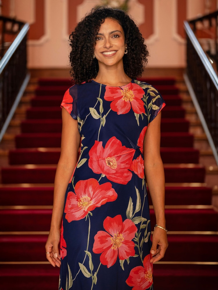 blue dress with red poppies Cap Sleeve Poppy Floral Print Dress in Navy Blue/Red main image 1
