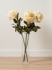 Scottish Everlastings Ltd Cream Artificial Peony Stems 3 Pack - Image 1 of 3