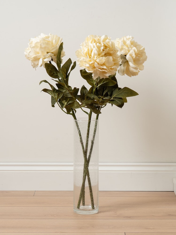 Scottish Everlastings Ltd Cream Artificial Peony Stems 3 Pack - Image 1 of 3 Scottish Everlastings Ltd Cream Artificial Peony Stems 3 Pack - Image 1 of 3