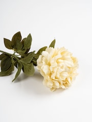 Scottish Everlastings Ltd Cream Artificial Peony Stems 3 Pack - Image 2 of 3