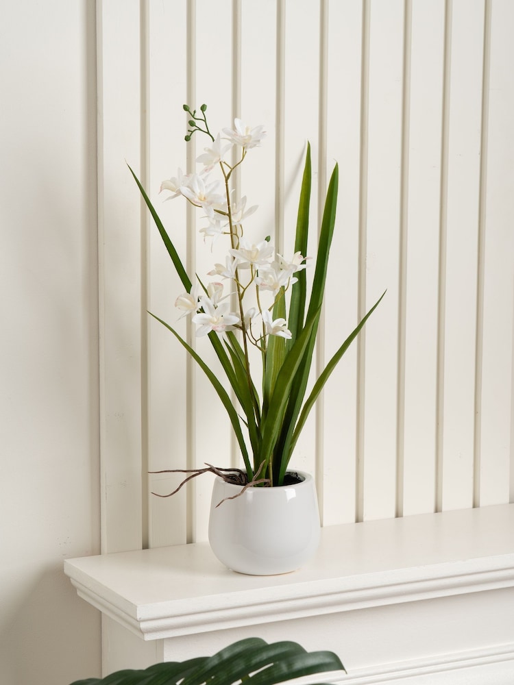 Scottish Everlastings Ltd White Artificial Mini Cymbidium Orchid in Pot - Image 1 of 3 Scottish Everlastings Ltd White Artificial Mini Cymbidium Orchid in Pot - Image 1 of 3