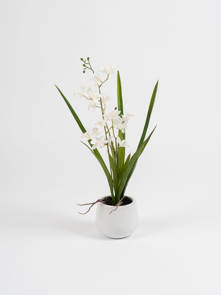 Scottish Everlastings Ltd White Artificial Mini Cymbidium Orchid in Pot - Image 3 of 3 Scottish Everlastings Ltd White Artificial Mini Cymbidium Orchid in Pot - Image 3 of 3