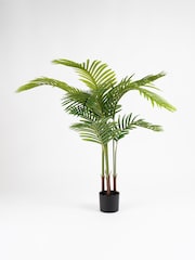Scottish Everlastings Ltd Green Artificial Palm Tree in Pot - Image 3 of 3