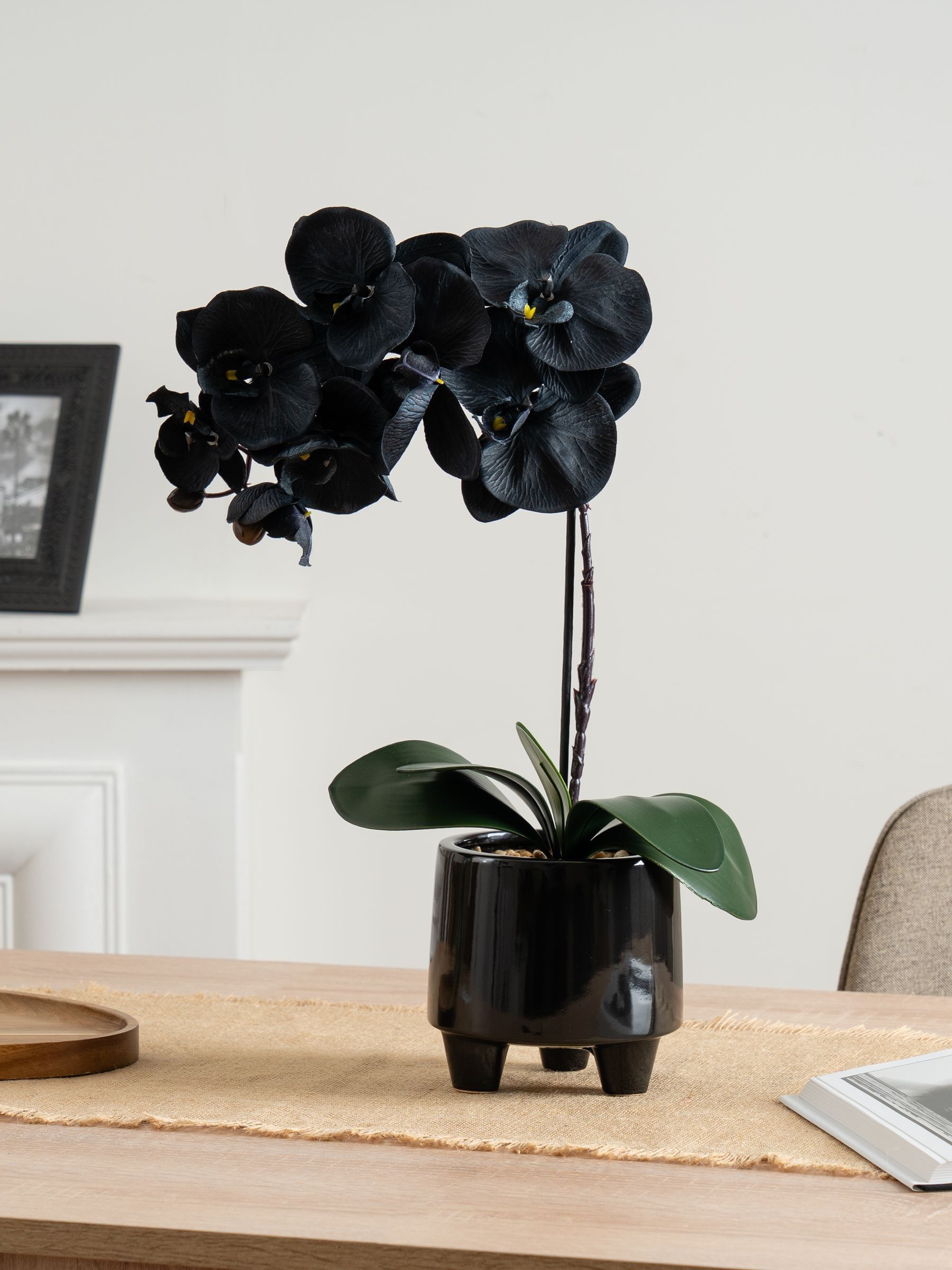 Scottish Everlastings Ltd Unisex Black Artificial Orchid In Ceramic Pot - Image 1