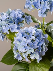 Scottish Everlastings Ltd Blue Artificial Real Touch Mophead Hydrangea - Image 2 of 3