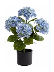 Scottish Everlastings Ltd Blue Artificial Real Touch Mophead Hydrangea - Image 3 of 3