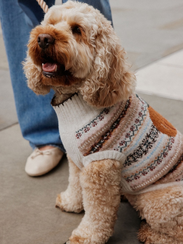 Ecru/Brown Multi Fairisle Autumnal Fairisle Pumpkin Knitted Pet Jumper - Image 2 of 7
