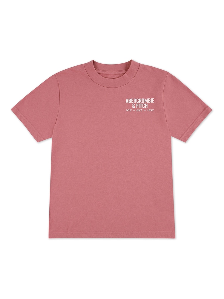 Abercrombie & Fitch NIC majica sa Kratki rukav sa logotipom sa zadnjim Print - Slika 1 od 3