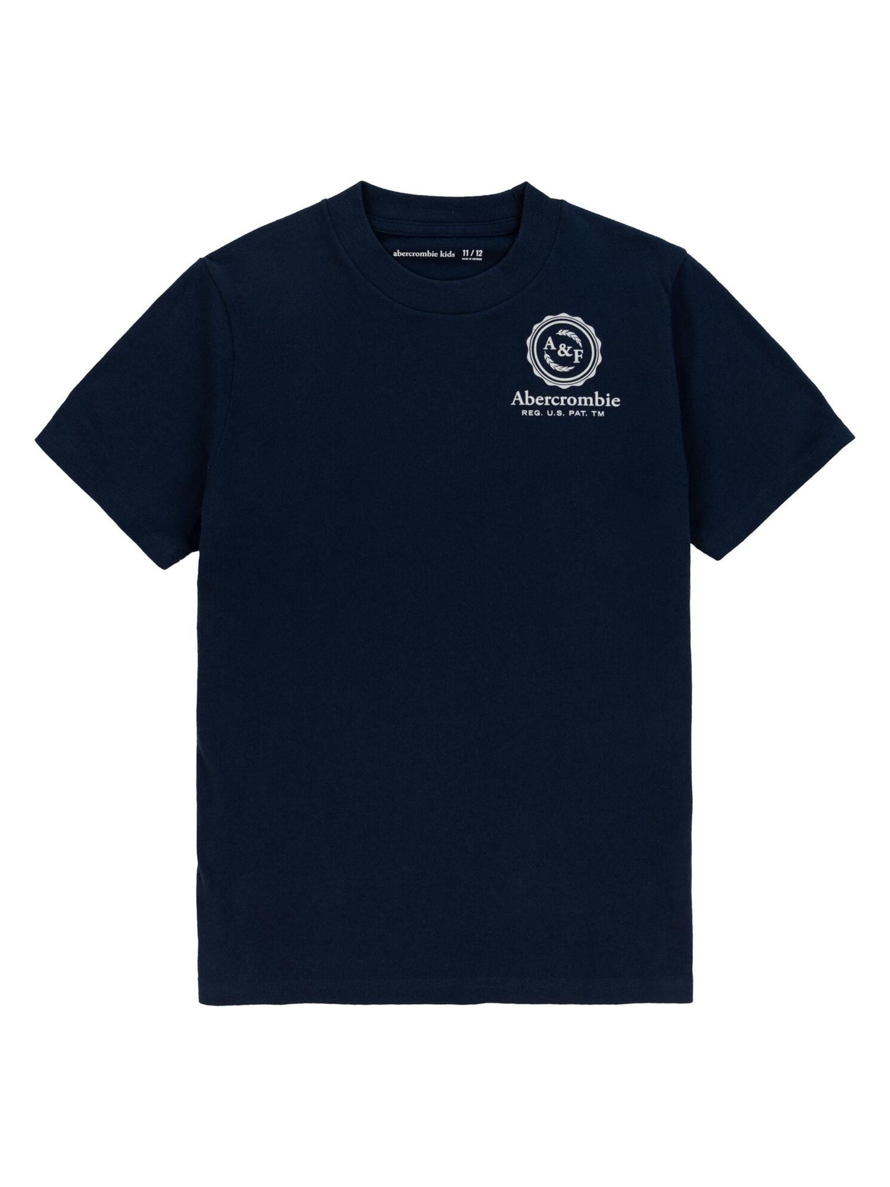 Buy Abercrombie & Fitch Blue Back Print Logo Graphic Short Sleeve