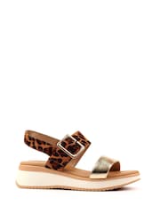 Animal - Lunar סנדלים, דגם Dion - תמונה 3 מתוך 7