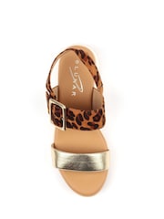 Animal - Lunar סנדלים, דגם Dion - תמונה 7 מתוך 7