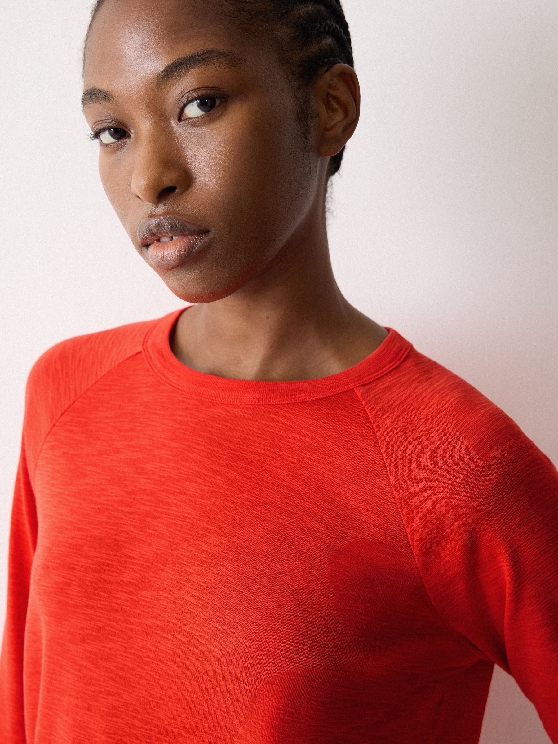 Buy Jigsaw Red Cotton Luxe Raglan T-Shirt from Next USA