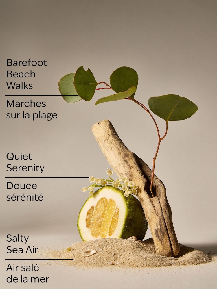 Bath & Body Works Ocean Town Bound Wallflowers Fragrance Refill 24 ml - Image 3 of 3