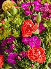 Multi Bright Posy Fresh Flower Letterbox Bouquet - Image 5 of 5