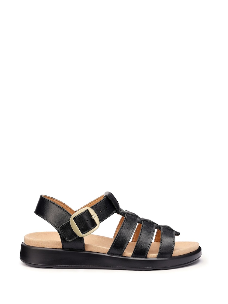 Hotter Black Regular Fit Standard Fit Alanya Buckle Casual Sandals - Image 1 of 4